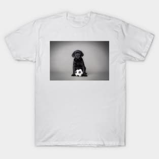 Labrador retriever puppy with ball T-Shirt